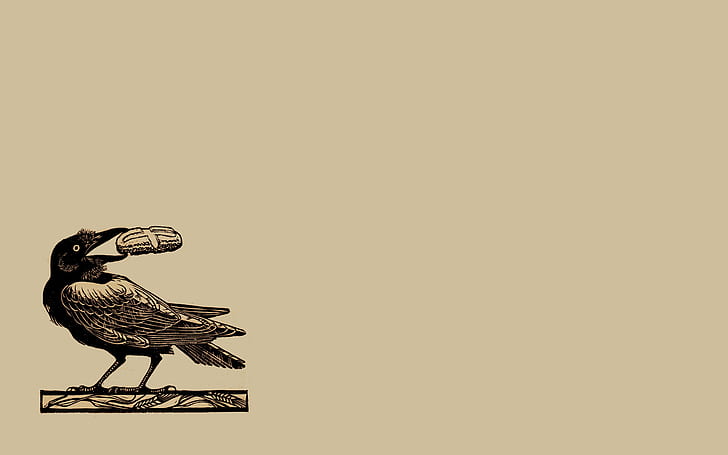 minimalis, hewan, latar belakang sederhana, burung, Raven St Benedict, Wallpaper HD