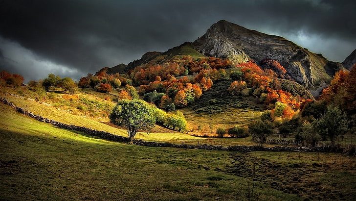 green leafed tree, green leaf tree near mountain at daytime, nature, landscape, fall, mountains, grass, trees, dark, clouds, sunlight, HD wallpaper
