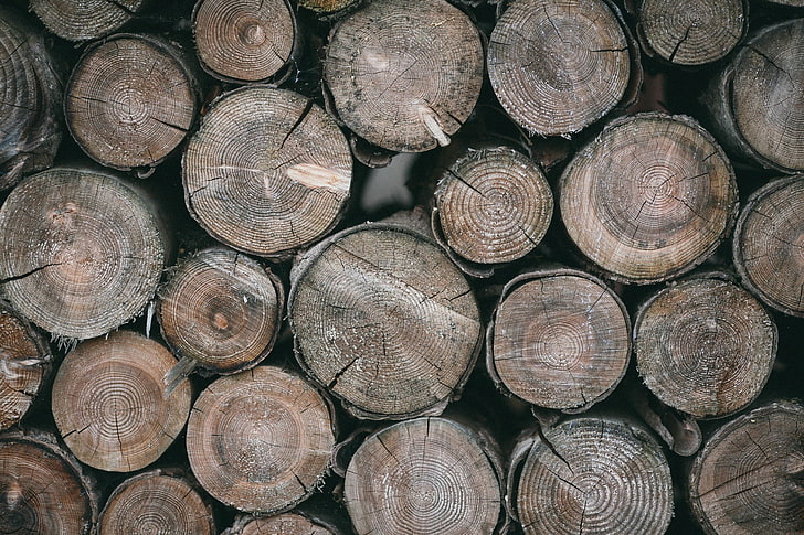 dużo drewna na opał, drewno, fotografia, Tapety HD