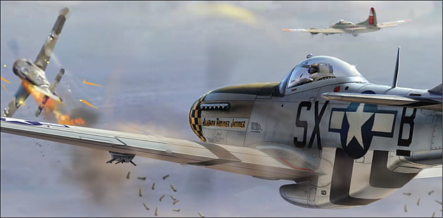 air, avion, avion, combattant, Force, militaire, Mustang, P-51, P51, avion, véhicule, Fond d'écran HD HD wallpaper