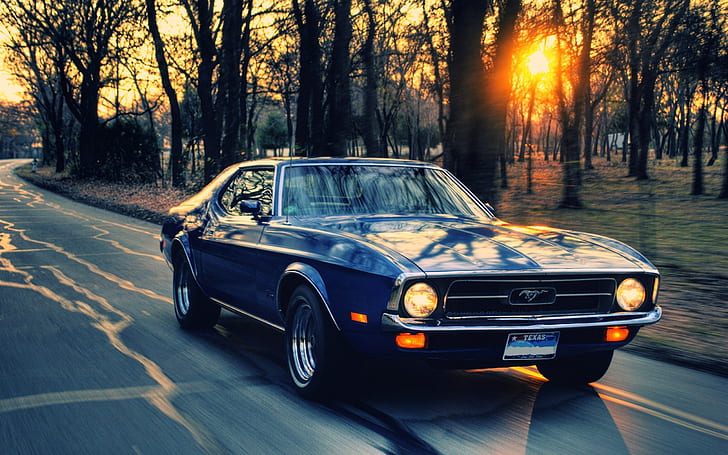 sunset sunrise trees ford roads vehicles ford mustang driving old cars feeling 2560x1600 wallpape Nature Sunsets HD Art , sunset, sunrise, HD wallpaper