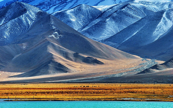 animals, fence, field, Hill, lake, landscape, mountain, nature, Pamir Mountains, snow, Snowy Peak, Tajikistan, Valley, water, HD wallpaper