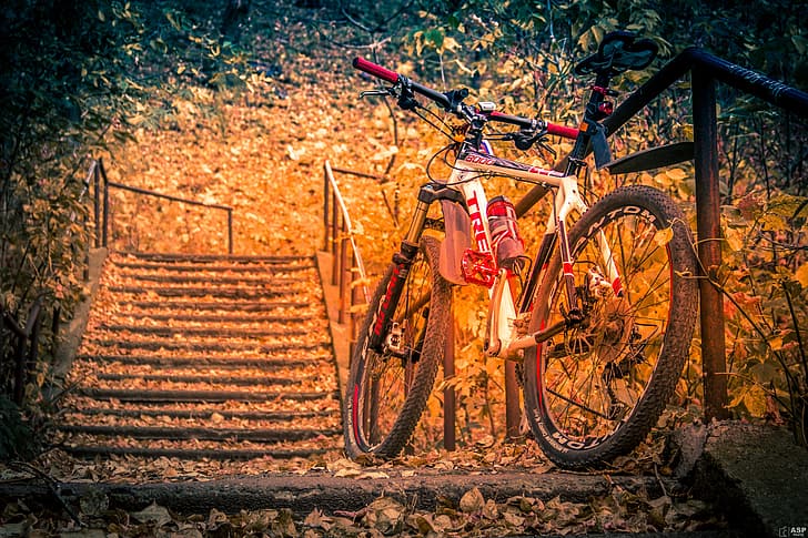 ฤดูใบไม้ร่วง ใบไม้ ภูมิทัศน์ จักรยาน กีฬา บันได ลู่วิ่ง จักรยานเสือภูเขา ช่วงระยะการเดินทาง, วอลล์เปเปอร์ HD