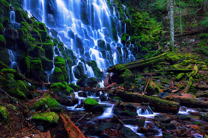 cachoeira, floresta, verão, ramos, pedras, cachoeira, musgo, Oregon, EUA, segmentos, agosto, capa de floresta nacional, Ramona Falls, HD papel de parede