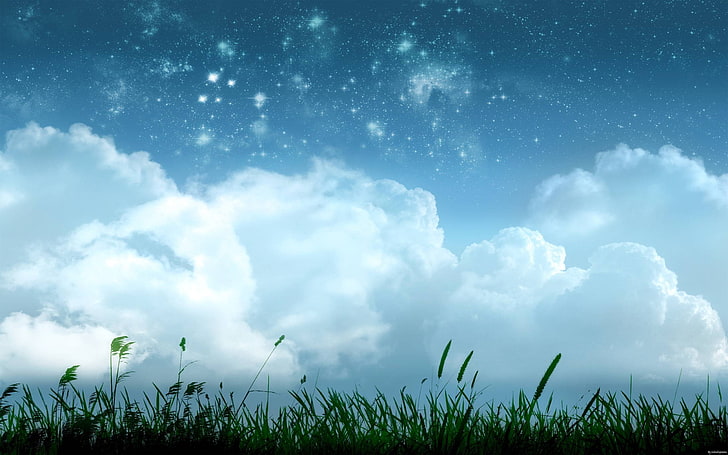зелена трева, дигитално изкуство, растения, космическо изкуство, небе, облаци, звезди, HD тапет
