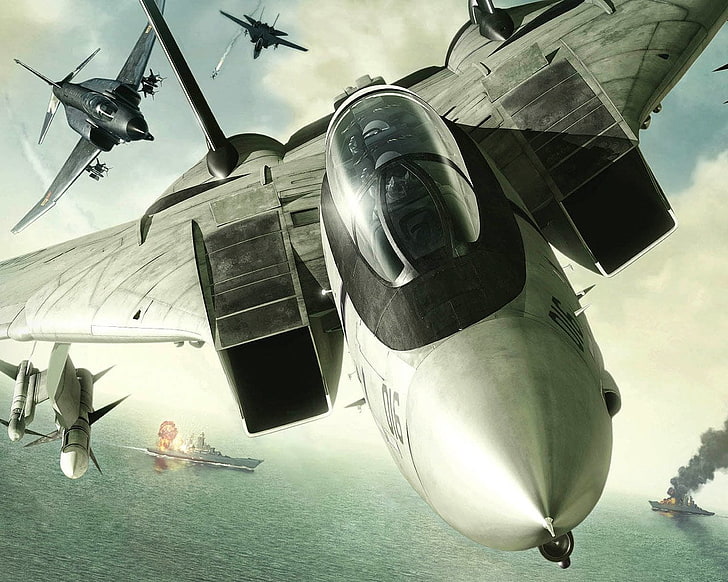 сив и черен реактивен боен дигитален тапет, Ace Combat, Ace Combat 5: The Unnsung War, Grumman F-14 Tomcat, HD тапет