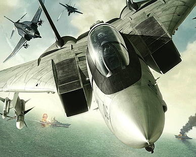 papel tapiz digital de caza a reacción gris y negro, Ace Combat, Ace Combat 5: The Unsung War, Grumman F-14 Tomcat, Fondo de pantalla HD HD wallpaper