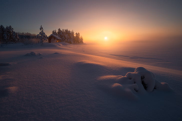 salju, musim dingin, sinar matahari, Wallpaper HD