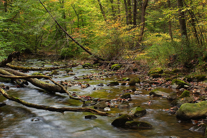 time lapse photography of river with driftwood during daytime, Pigments, time lapse photography, river, driftwood, daytime, Pennsylvania, Northampton County, Jacobsburg Environmental Education Center, Jacobsburg State Park, Run, Lehigh Valley, hiking, forest, trees, foliage, creek, stream, cascades, rocks, moss, branches, autumn, low light, creative commons, nature, tree, landscape, leaf, outdoors, scenics, water, woodland, waterfall, green Color, beauty In Nature, rock - Object, HD wallpaper