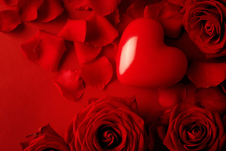 red heart and roses digital wallpaper, love, flowers, roses, petals, valentine's day, HD wallpaper