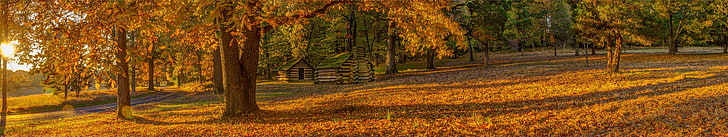 brązowe liściaste drzewo, pory roku, jesień, trawa, drzewa, żółty, chata, słońce, natura, panorama, park, krajobraz, Pensylwania, Valley Forge, Tapety HD