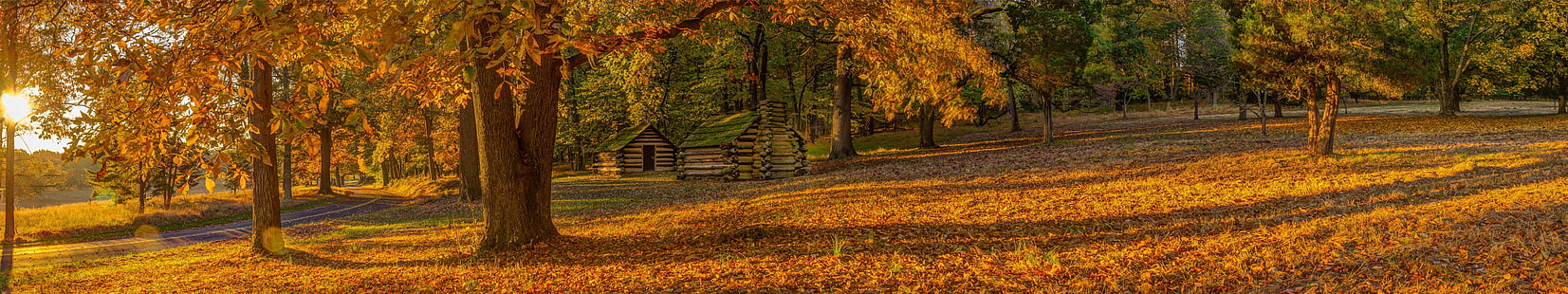 кафяволистно дърво, сезони, есен, трева, дървета, жълт, хижа, слънце, природа, панорама, парк, пейзаж, Пенсилвания, Valley Forge, HD тапет HD wallpaper