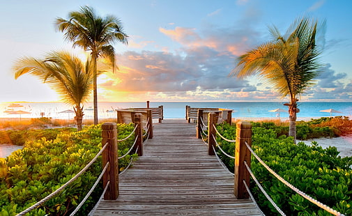 Witamy na plaży, brązowy drewniany pomost, podróż, wyspy, ocean, egzotyczny, raj, krajobraz, lato, sen, woda, tropik, piasek, lato, luksus, palmy, wakacje, Tapety HD HD wallpaper