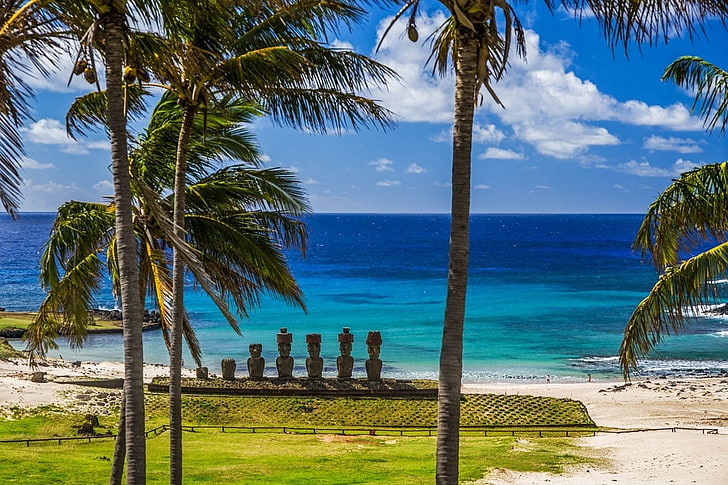 beach, Chile, Easter Island, grass, landscape, Moai, nature, Palm Trees, Rapa Nui, sand, sea, Statue, sunlight, HD wallpaper