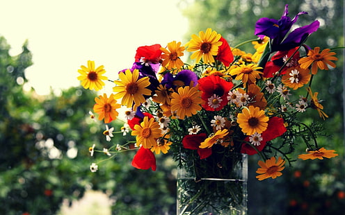 ваза, цветя, цвете, жълта маргаритка, цвете, цветя, боке, кутия, ваза, HD тапет HD wallpaper