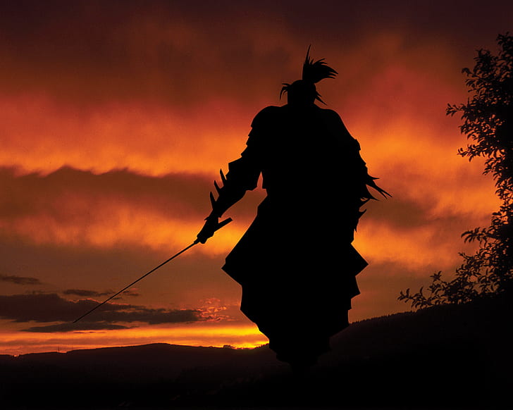 Samurai HD, Schattenbildfoto des Mannes Schwertspielcharakter, Fantasie, Samurai halten, HD-Hintergrundbild