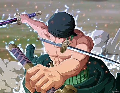 Anime, One Piece, Zoro Roronoa, HD wallpaper HD wallpaper