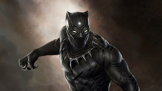 Schwarzer Panther, Chadwick Boseman, Panther, Avengers Infinity War, Schwarzer Adam, HD-Hintergrundbild HD wallpaper