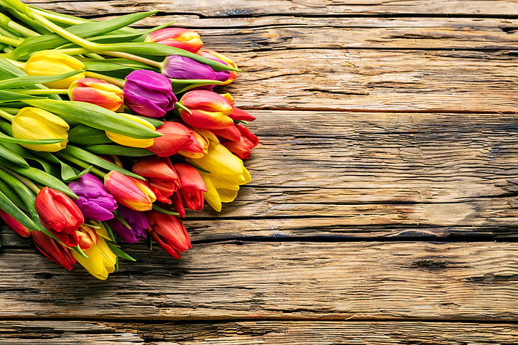 rote, gelbe und lila Tulpe, Blumen, Blumenstrauß, Frühling, bunt, Tulpen, frisch, Holz, schön, hell, HD-Hintergrundbild