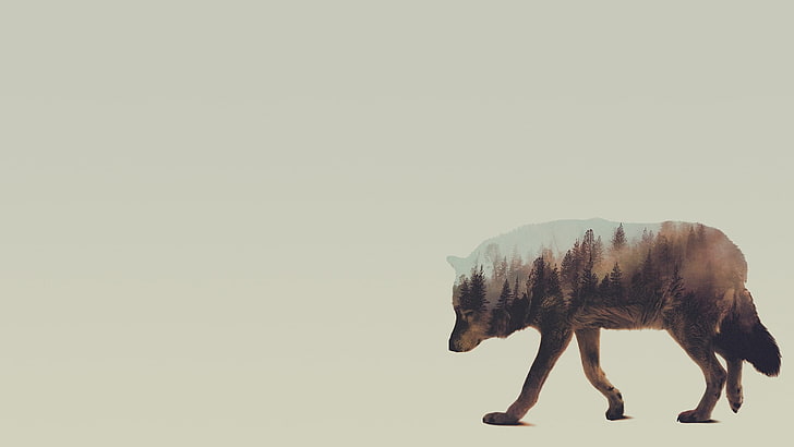peinture d'illusion de loup brun et noir, double exposition, Andreas Lie, animaux, loup, Fond d'écran HD