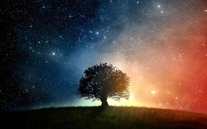 pohon, langit, karya seni, seni digital, bintang, Wallpaper HD