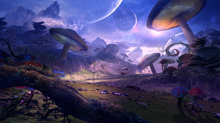 mushrooms, planet, art, fantasy, HD wallpaper