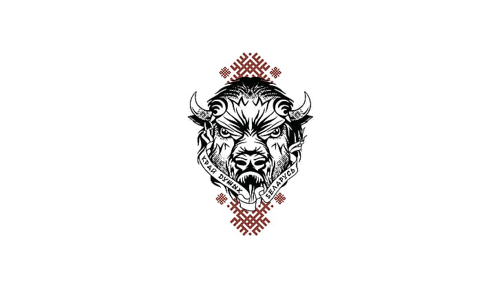 Belarus, Ornament, Bison, The edge is strong, HD wallpaper