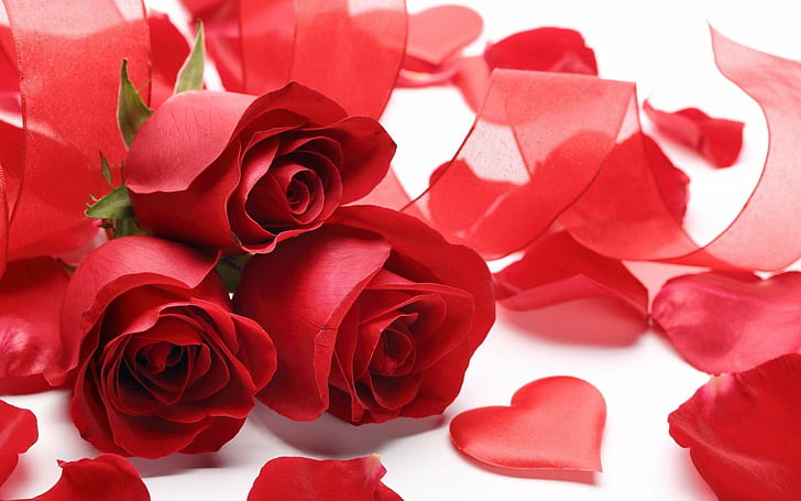 Blossoms, celebration, day, floral, heart, love, petals, red, romance,  romantic, HD wallpaper | Wallpaperbetter