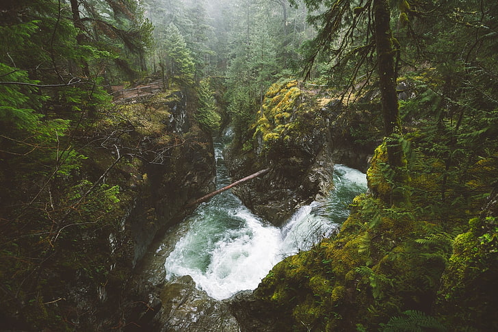 fotografía de lapso de tiempo de cascadas que fluyen, naturaleza, paisaje, bosque, río, cascada, niebla, isla de Vancouver, Columbia Británica, Canadá, árboles, arbustos, musgo, desierto, Fondo de pantalla HD