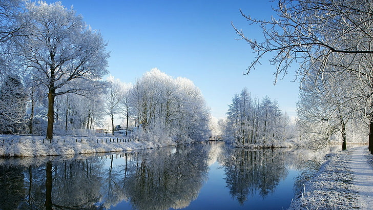филиал, Европа, Нидерланды, Утрехт, канал, река, иней, банк, дневное время, древесные растения, отражение, замораживание, мороз, голубое небо, дерево, снег, природа, водный путь, вода, зима, HD обои