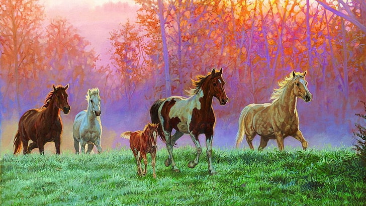 изкуство, рисунка, жребче, коне, поляна, сутрин, масло, живопис, слънце, HD тапет