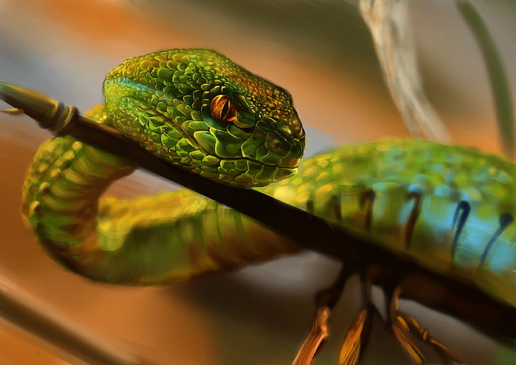 ular hijau, binatang, ular, Wallpaper HD