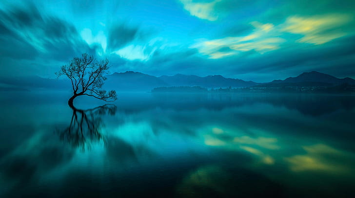 jezioro, drzewo, Nowa Zelandia, Wanaka, Tapety HD