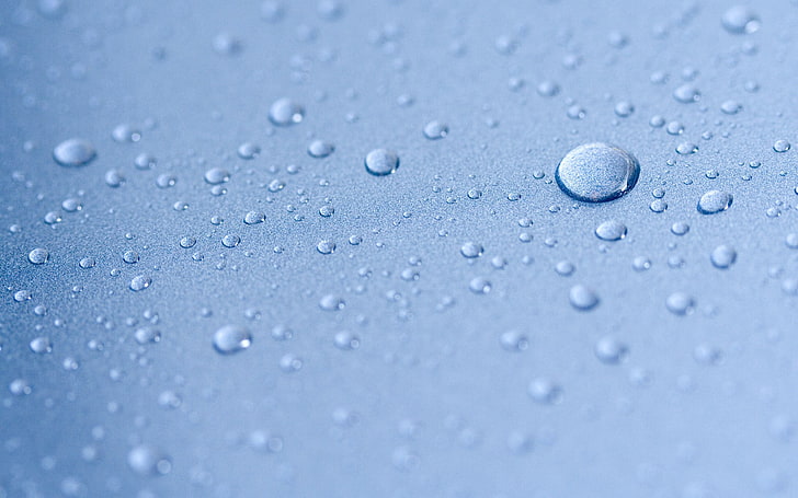 dew, water drops, depth of field, macro, blue, HD wallpaper