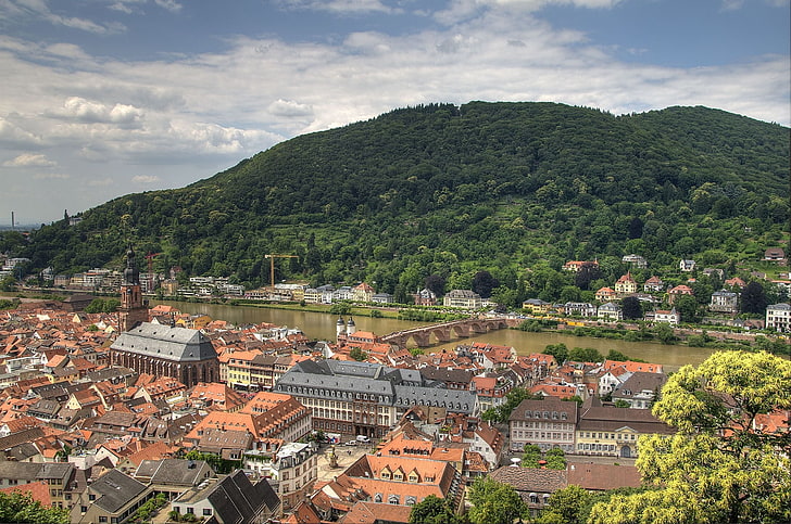 aerial photography of buildings, heidelberg, germany, river, bridge, buildings, forest, trees, cathedral, landscape, panorama, HD wallpaper
