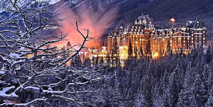 foresta, alberi, rami, l'edificio, Canada, Albert, l'hotel, Banff National Park, Alberta, Banff, Banff Springs Hotel, hotel Banff springs, Sfondo HD