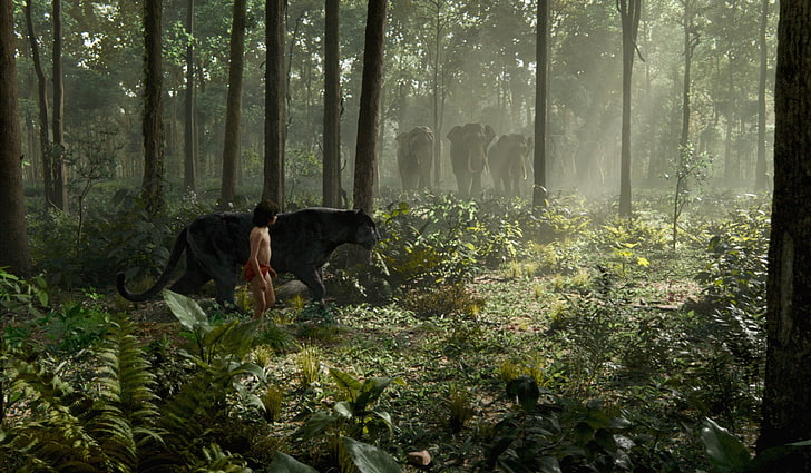 Книгата за джунглата, Книгата за джунглата (2016), Черна пантера, Слон, HD тапет