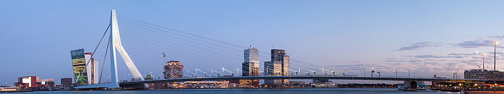 rivière, paysage, nature, ville, Rotterdam, néerlandais, Pays-Bas, hollande, pont, eau, ciel, Europe, panorama, Fond d'écran HD
