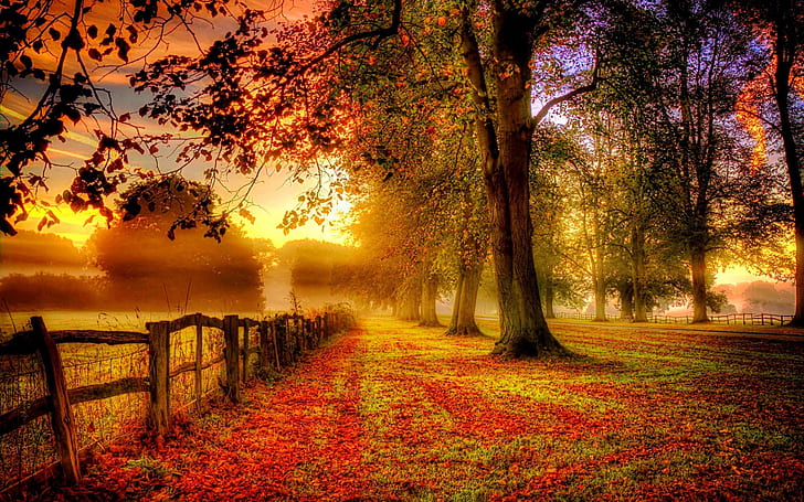 Parque otoño paisaje, hojas rojas, camino, cerca, parque, otoño, paisaje, rojo, hojas, carretera, valla, Fondo de pantalla HD