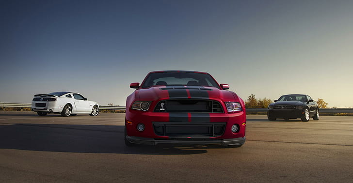 Ford Shelby Mustang GT500, 2014 shelby mustang gt500, mobil, Wallpaper HD