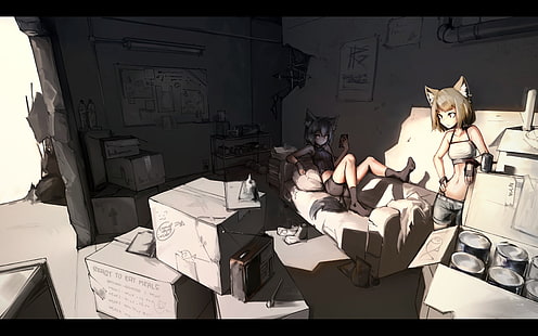 nekomimi, anime, oryginalne postacie, pokój, pudełka, anime dziewczyny, kanapa, kotka, Tapety HD HD wallpaper