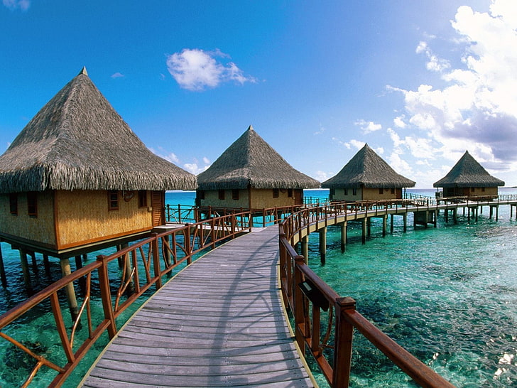 brown and black wooden dock, island, sea, landscape, HD wallpaper