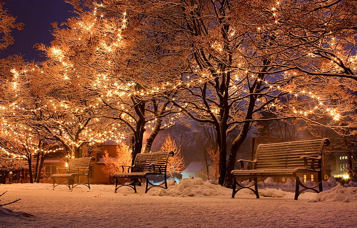 brown wooden benches, urban, snow, bench, trees, HD wallpaper