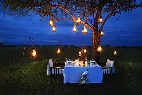白いテーブルの配置、ランプ、ロマンス、夕方、サバンナ、アフリカ、シャンパン、ロマンチック、ディナー、ブッシュ、 HDデスクトップの壁紙 HD wallpaper