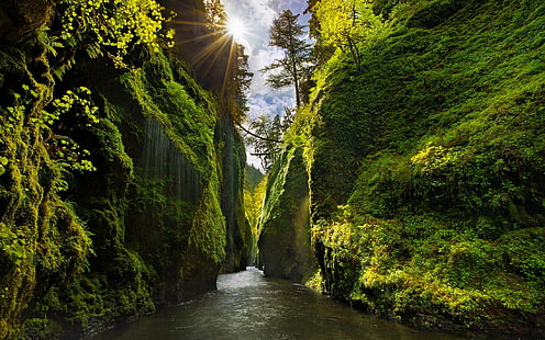 doğa, manzara, kanyon, Oregon, yeşil, güneş ışınları, yosun, nehir, ağaçlar, çalılar, şelale, vadi, güneş ışığı, İzlanda, HD masaüstü duvar kağıdı HD wallpaper