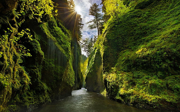 waterfall, moss, valley, Iceland, nature, shrubs, canyon, trees, river, green, sun rays, sunlight, Oregon, landscape, HD wallpaper