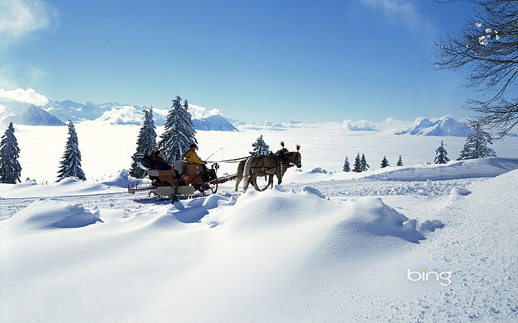 kereta kuda coklat dan putih, musim dingin, langit, matahari, awan, cahaya, salju, gunung, orang-orang, suasana hati, pohon, pohon cemara, kuda, cakrawala, embun beku, kereta luncur, cuaca, Wallpaper HD