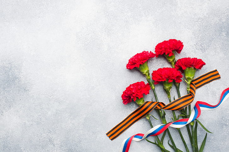 flowers, holiday, victory day, St. George ribbon, May 9, carnation, HD wallpaper
