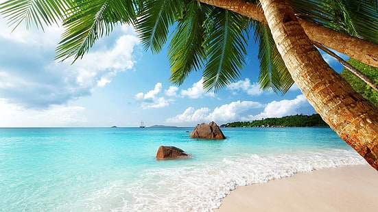 grüne Kokospalme, Seychellen, Strand, Sand, Palmen, Meer, tropisch, Sommer, exotisch, Landschaft, Wolken, HD-Hintergrundbild HD wallpaper