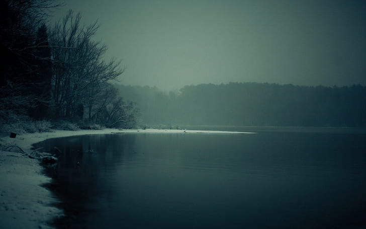 hiver, forêt, arbres, nature, rivière, paysages, tôt le matin, Fond d'écran HD